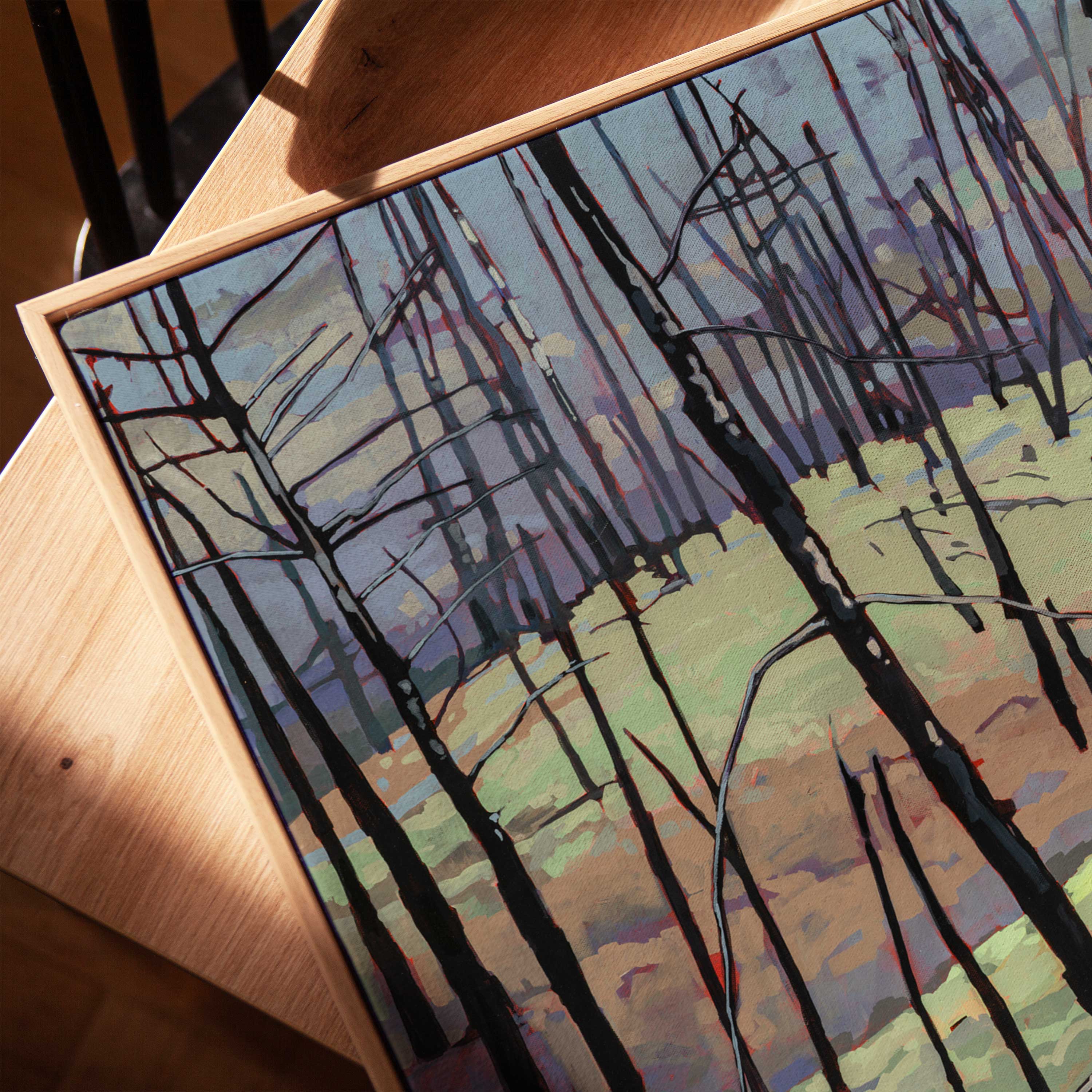 Myra Bellevue Transformation