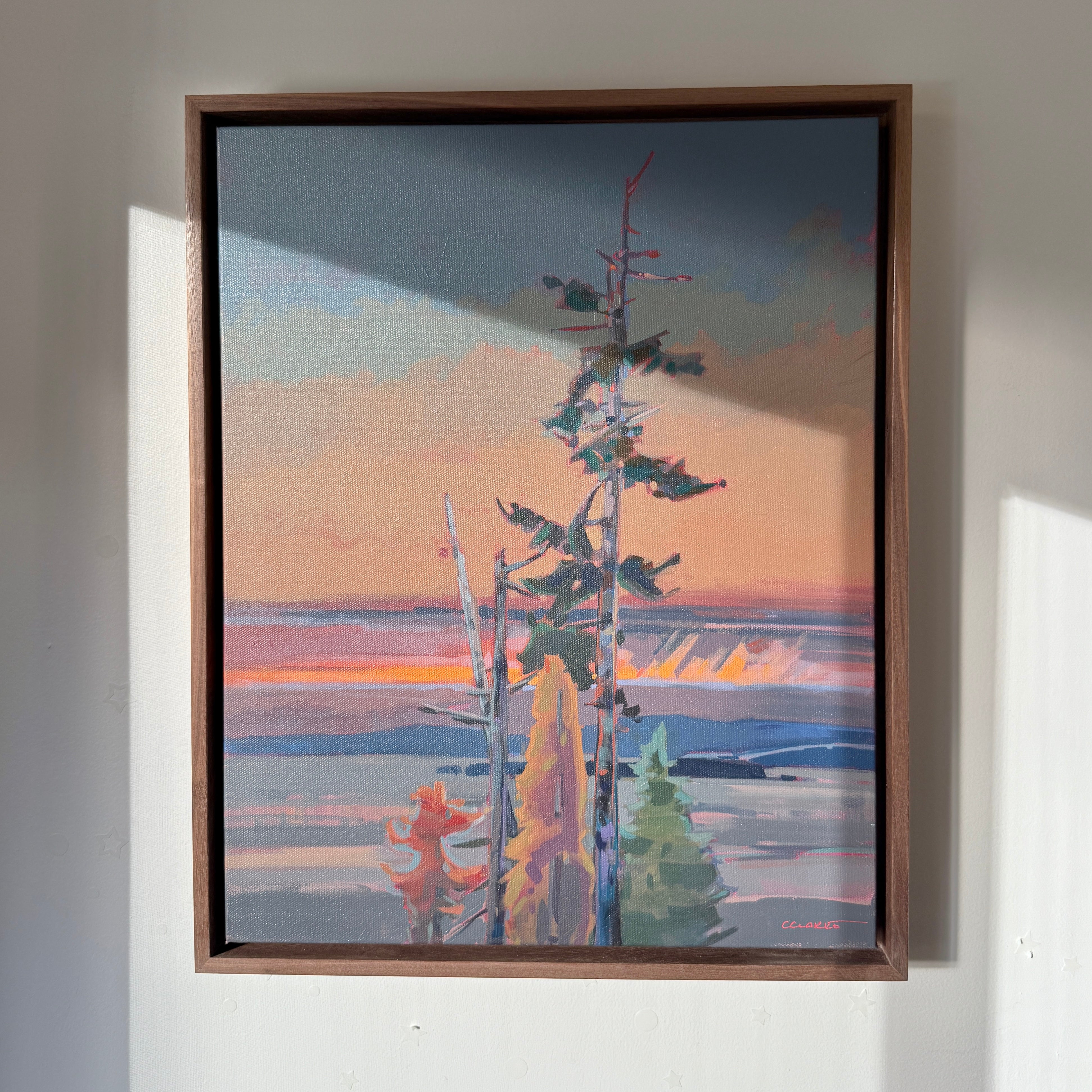 Before the Storm | 20 in x 16 in | Walnut