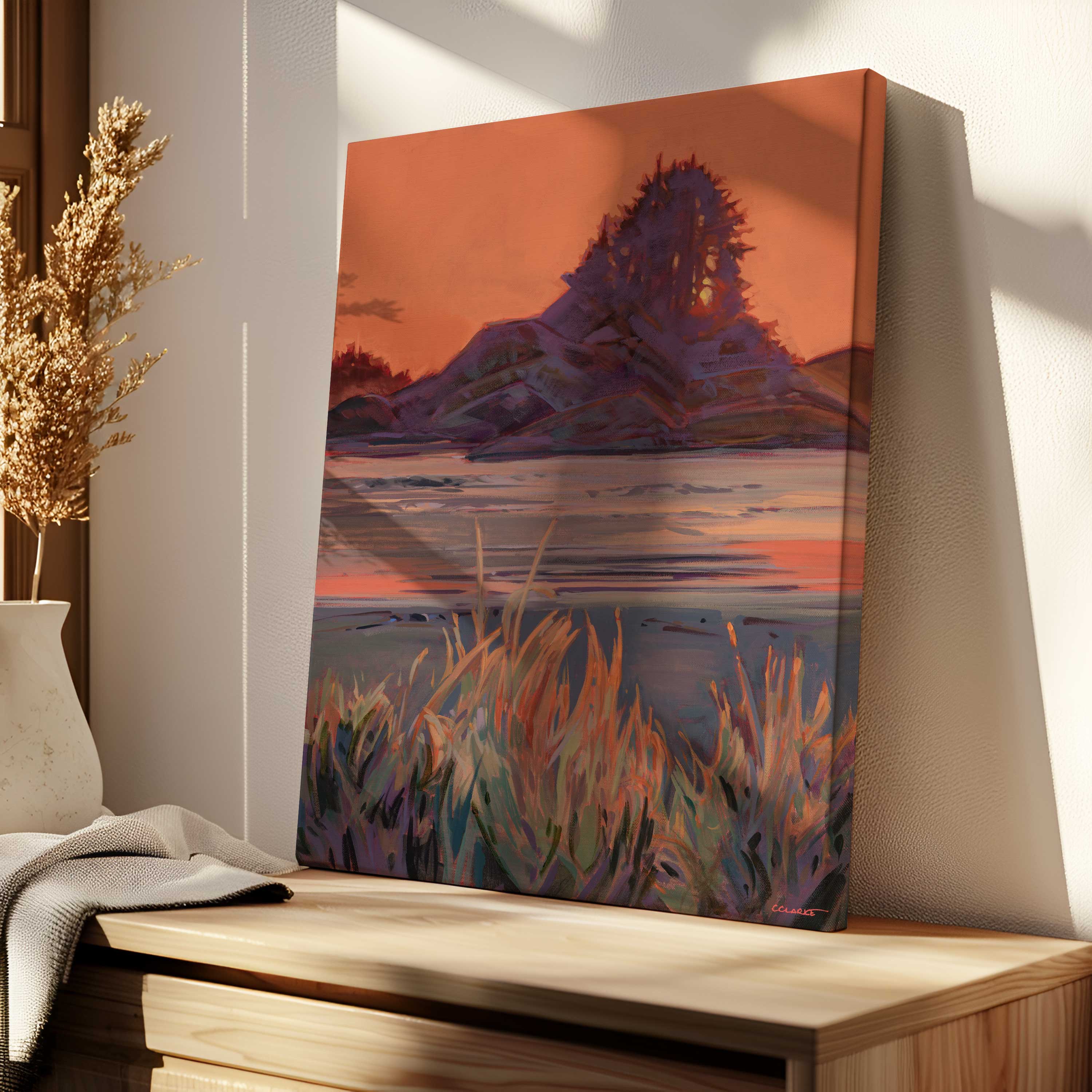 Cox Bay Evening Light