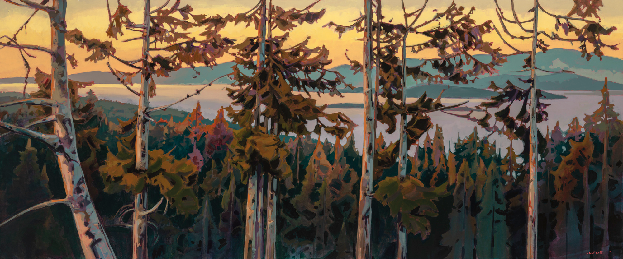 Light Between Seasons