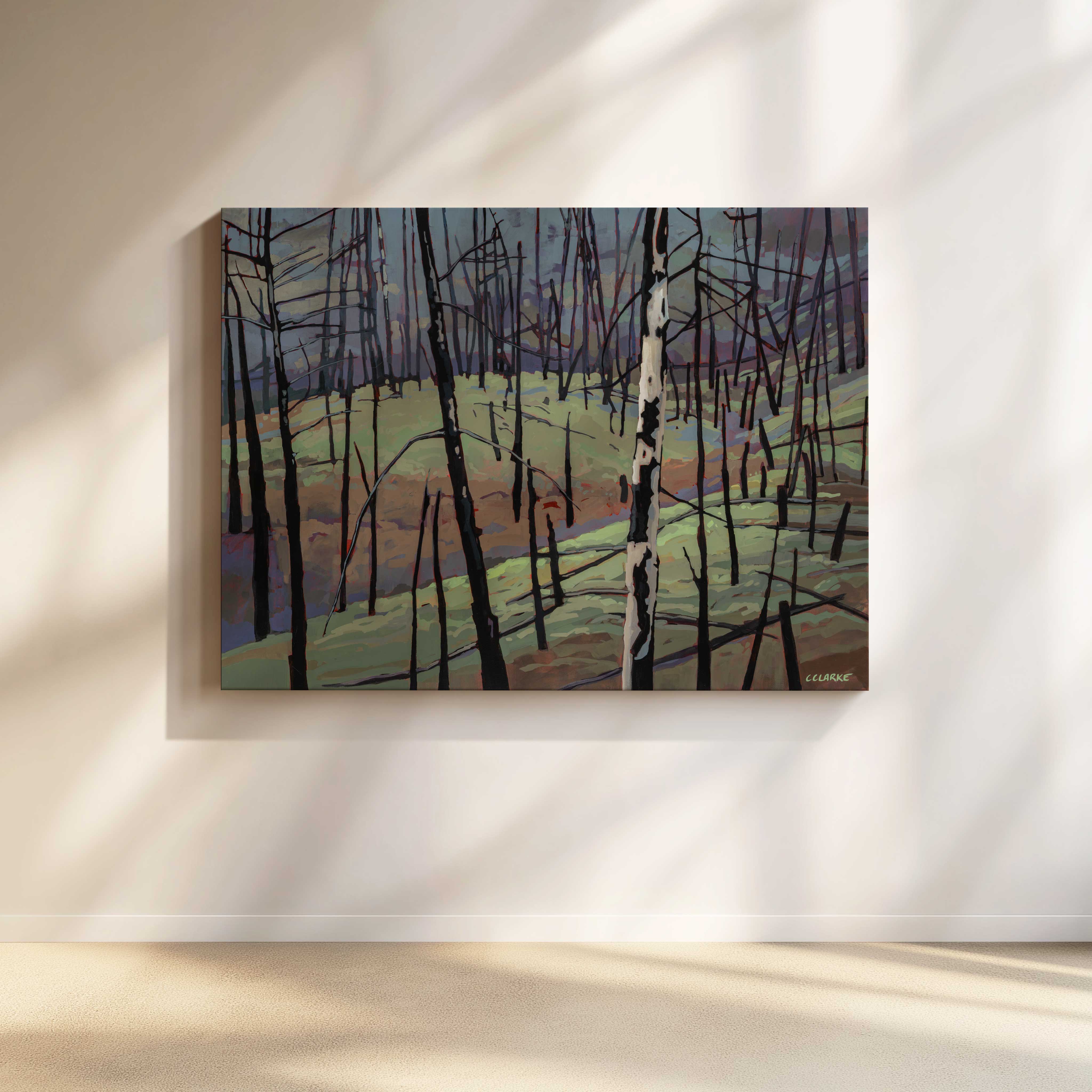 Myra Bellevue Transformation