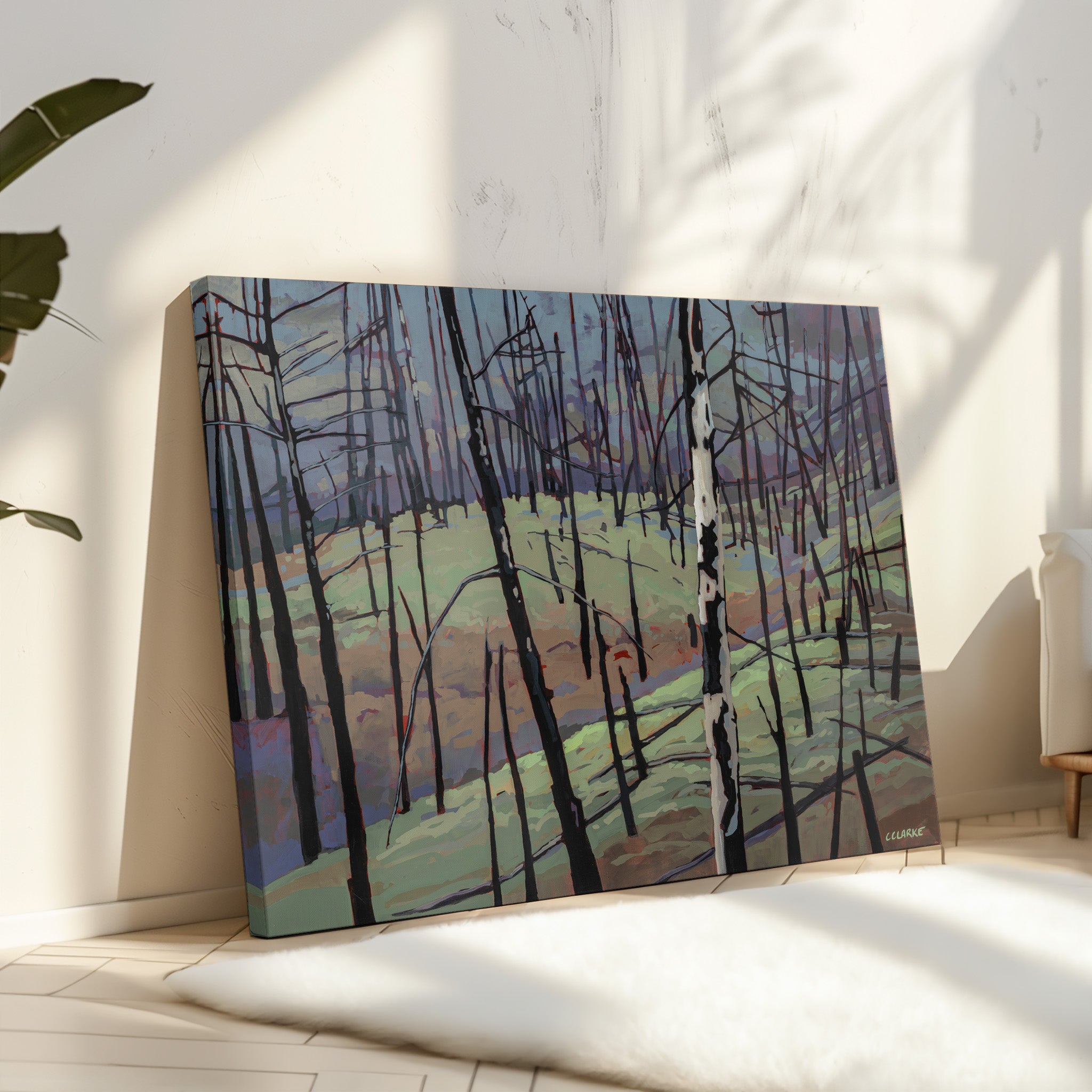 Myra Bellevue Transformation