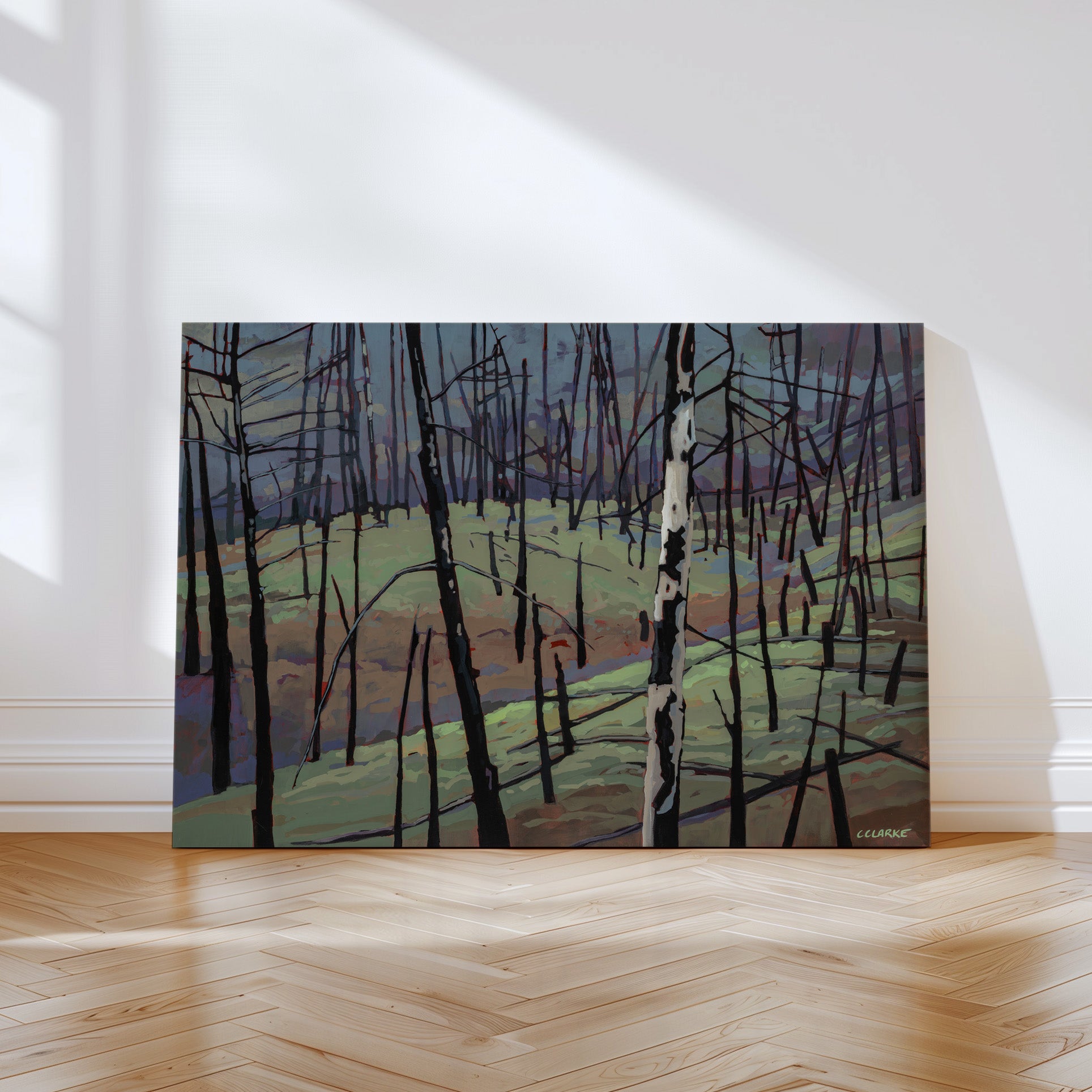 Myra Bellevue Transformation