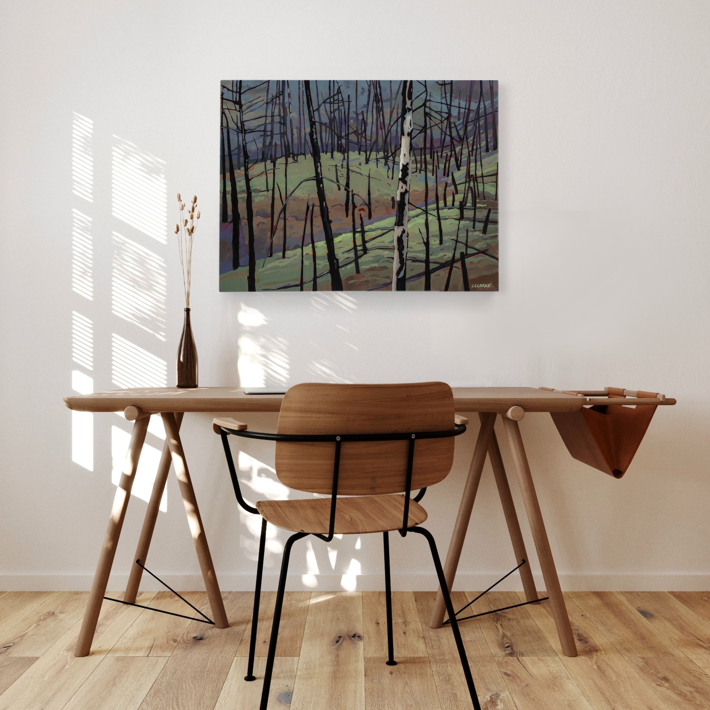 Myra Bellevue Transformation