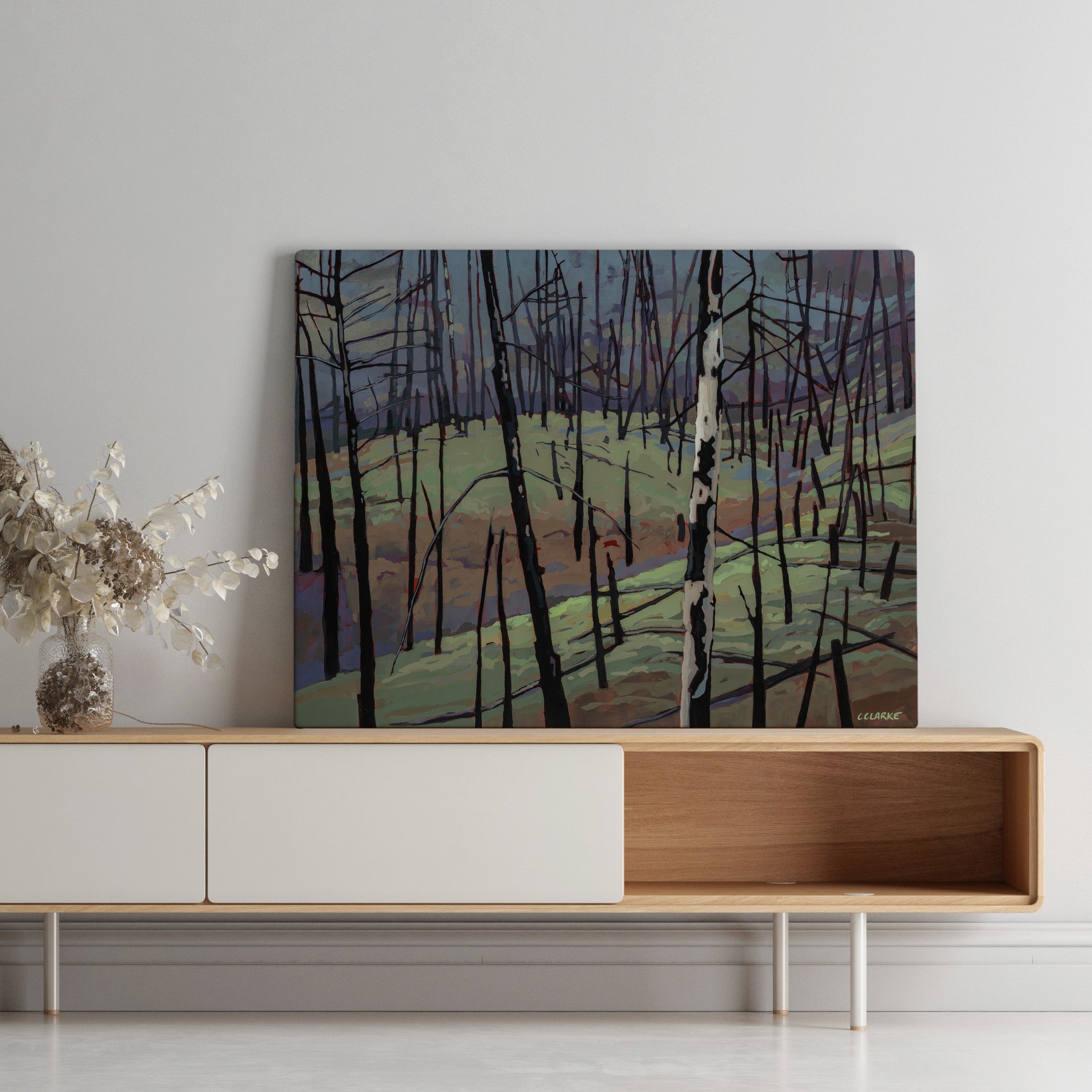 Myra Bellevue Transformation