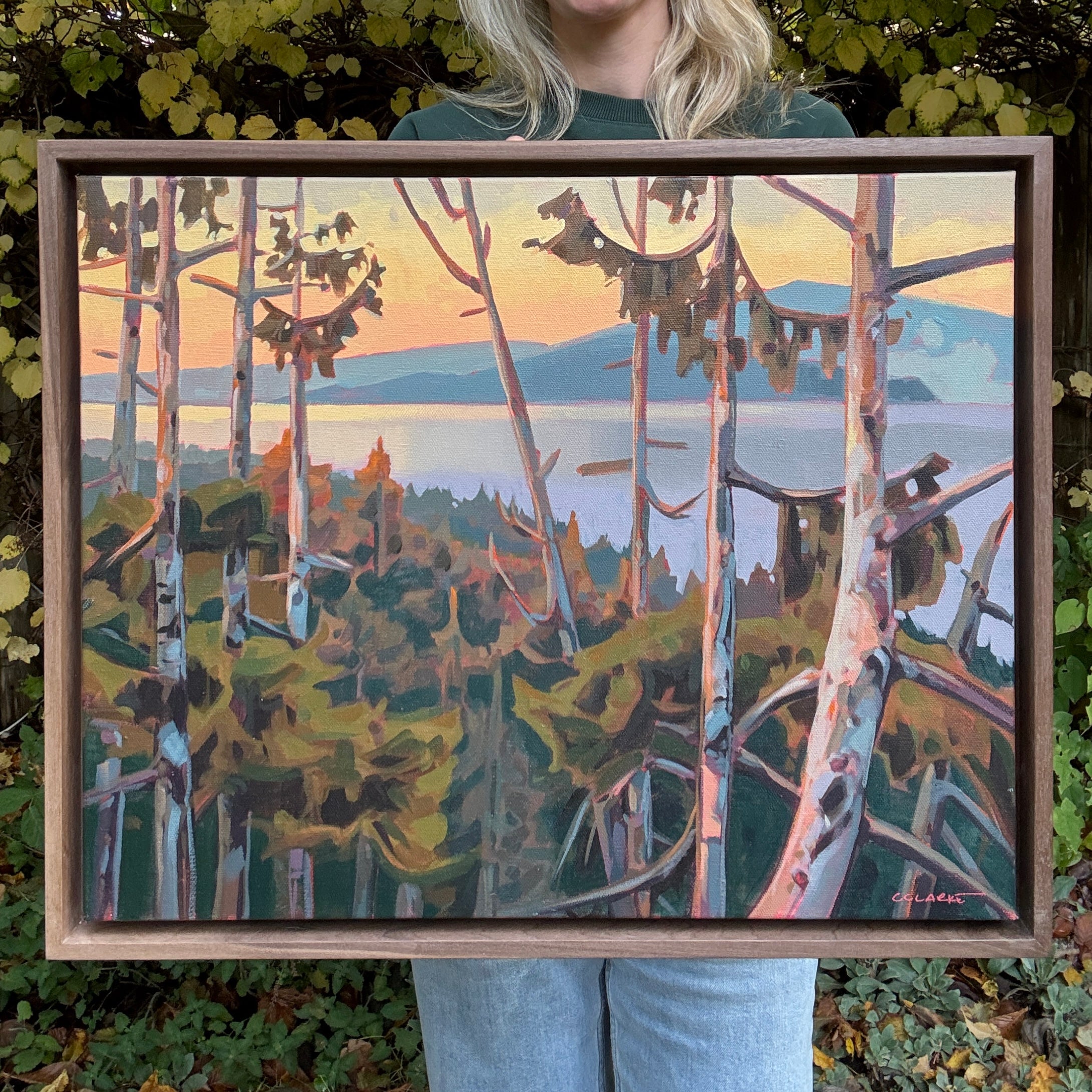 Through the Trees | 16 in x 20 in | Walnut