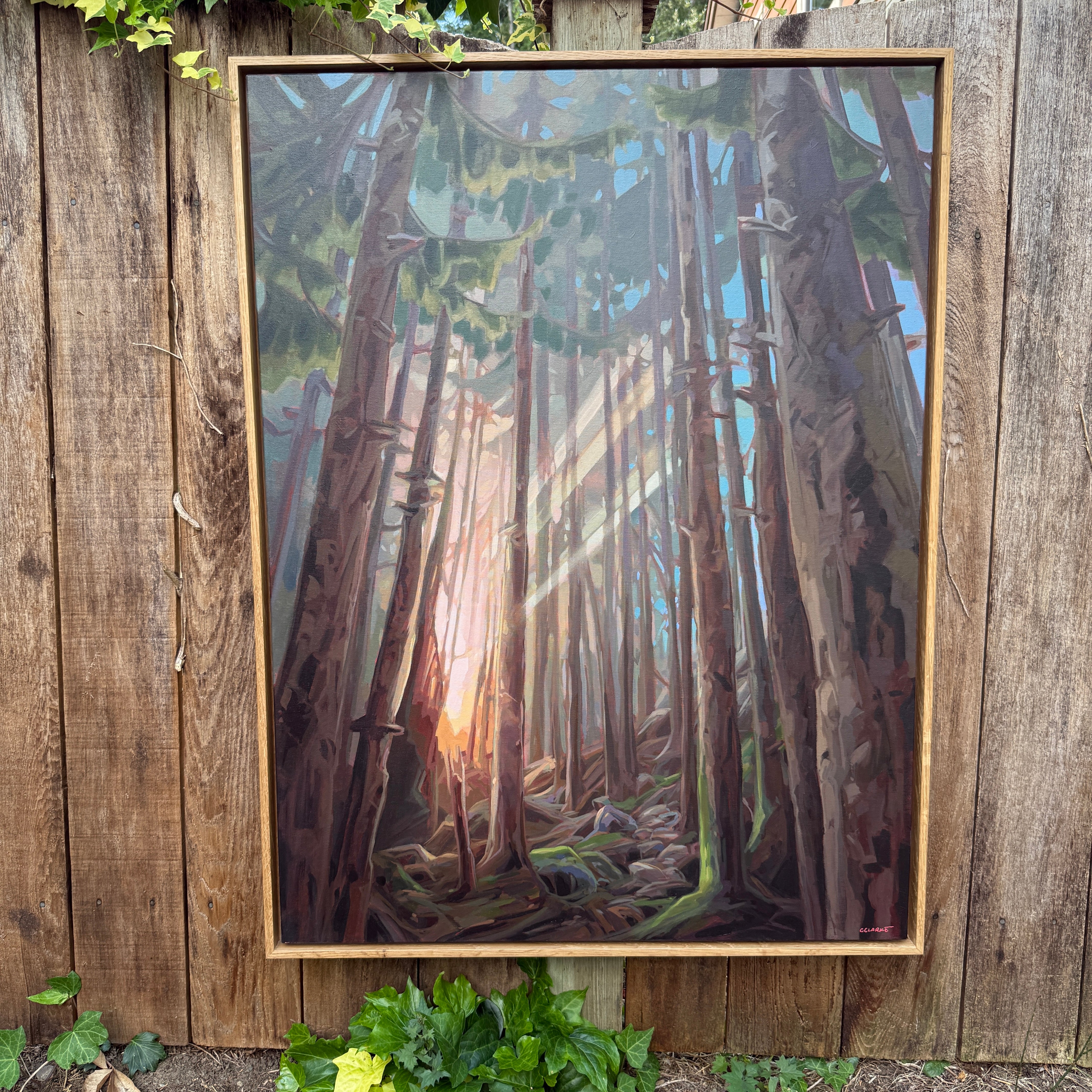 Life of Riley | 40 in x 30 in | White Oak