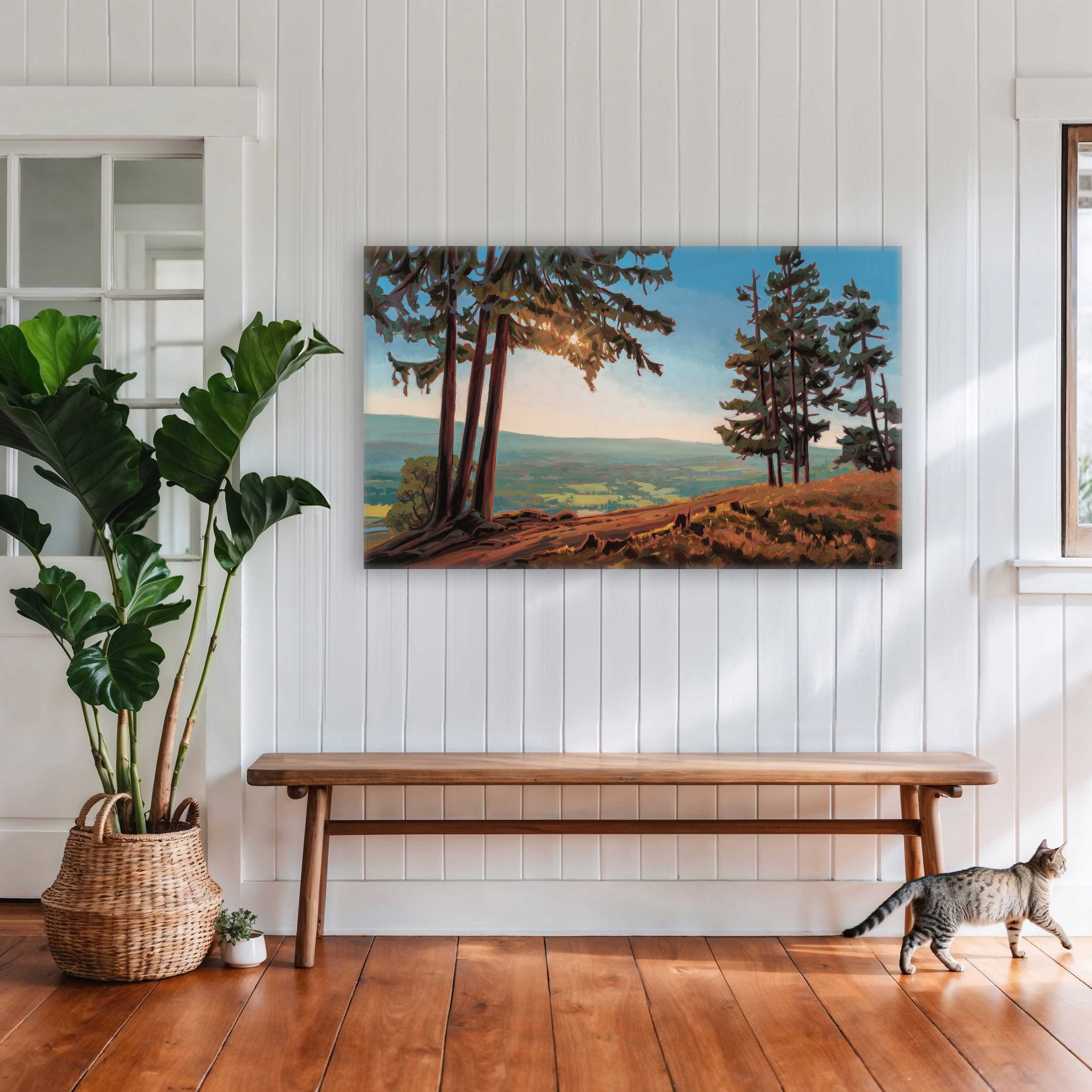 Rocky Mountain Ridge