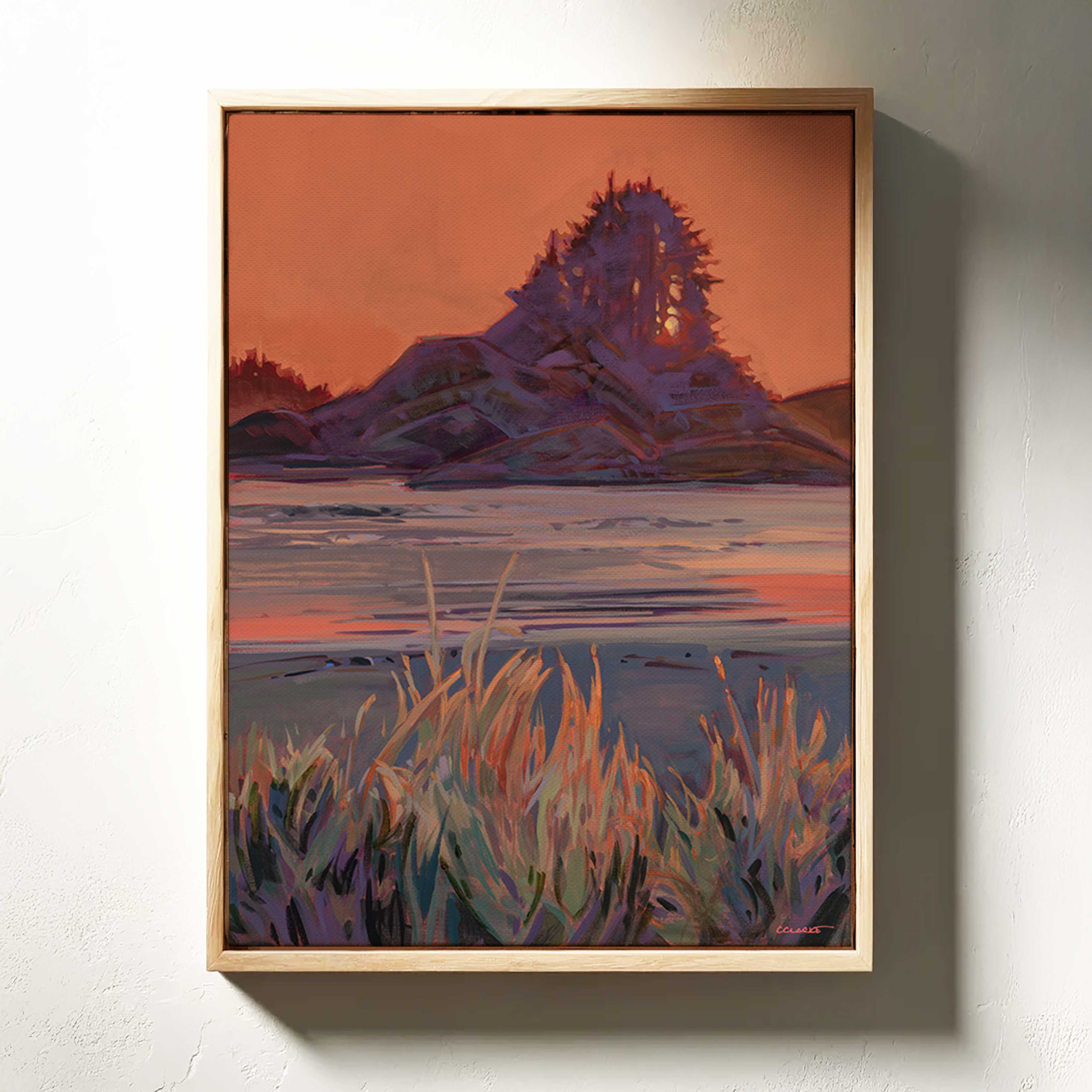 Cox Bay Evening Light