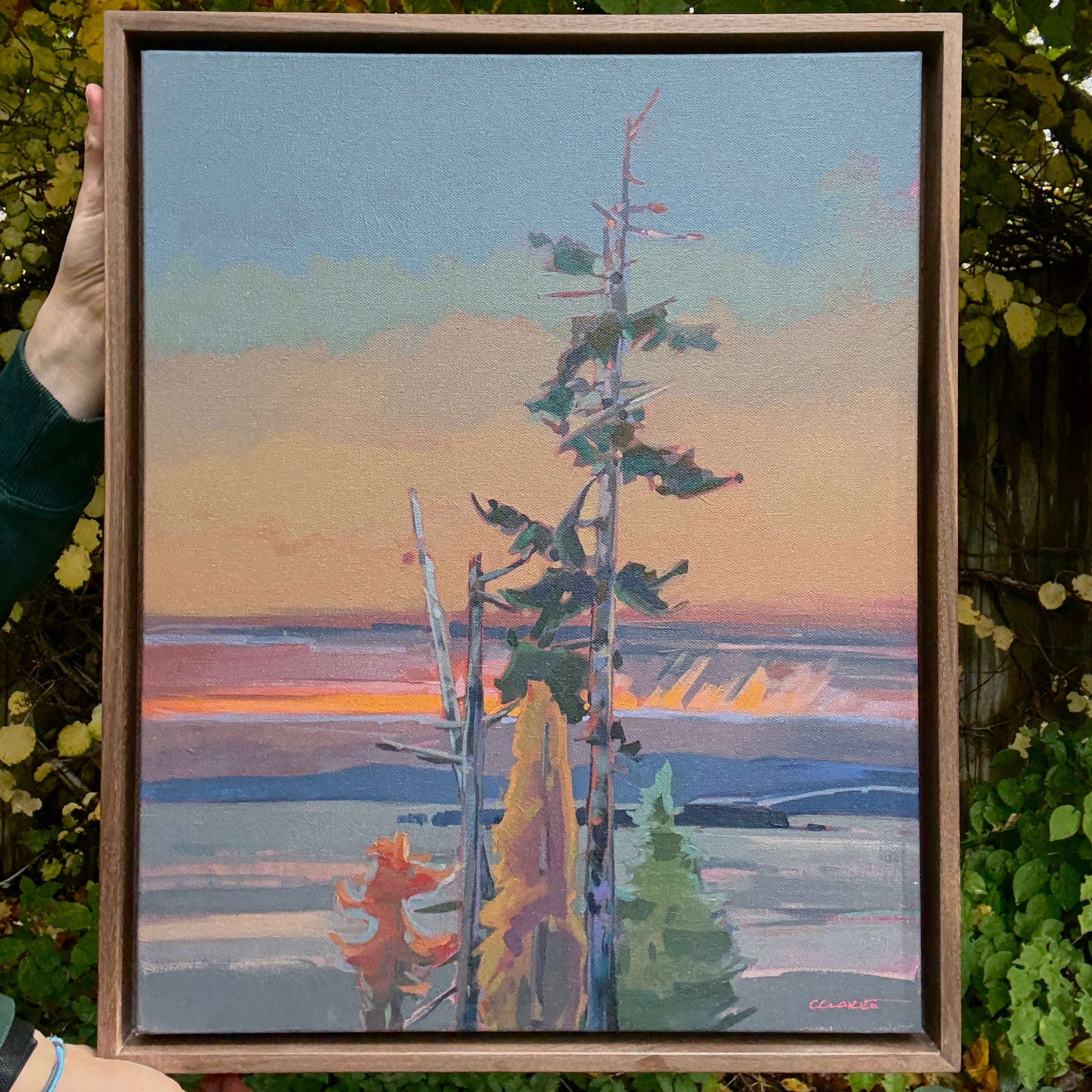 Before the Storm | 20 in x 16 in | Walnut