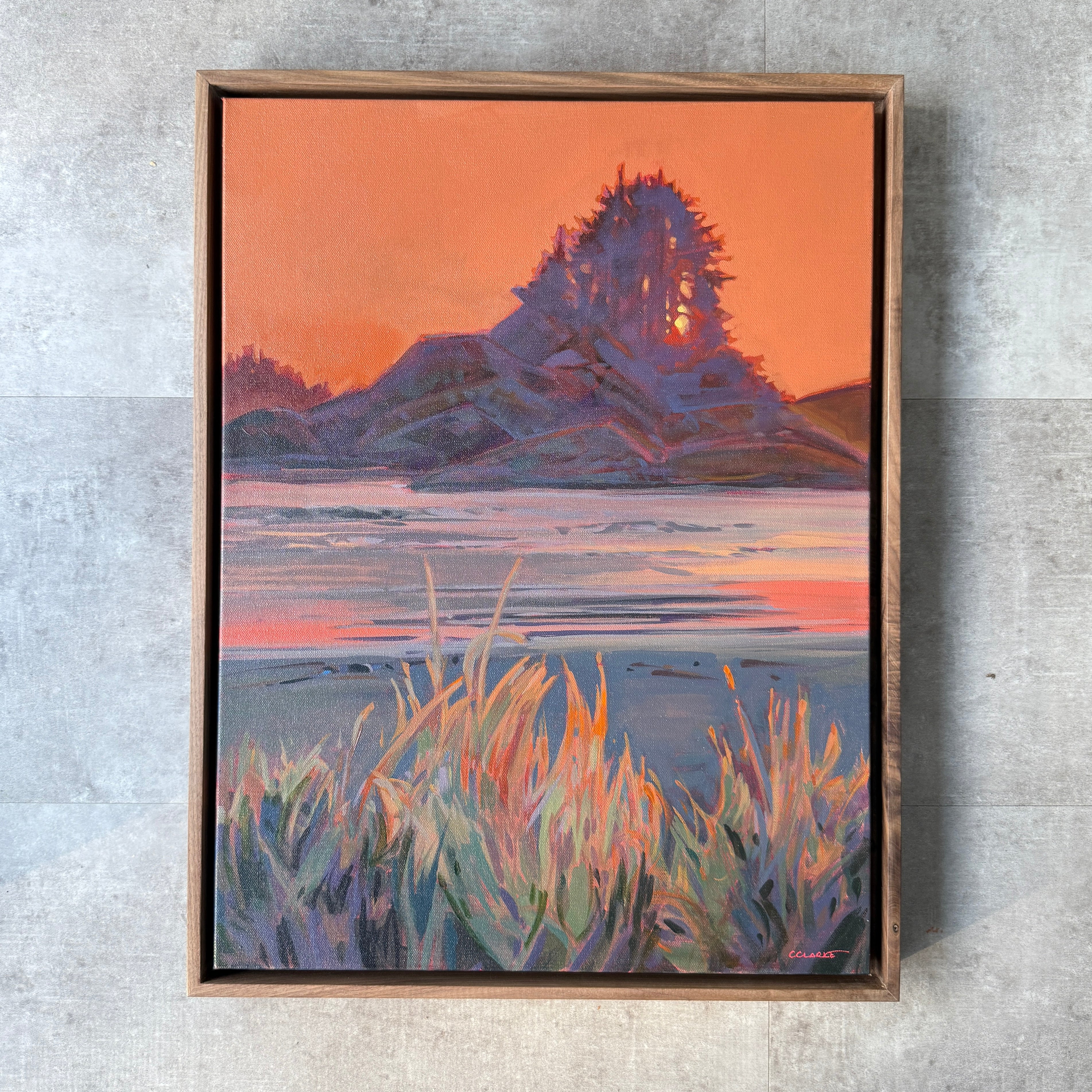 Cox Bay Evening Light | 24 in x 18 in | Walnut