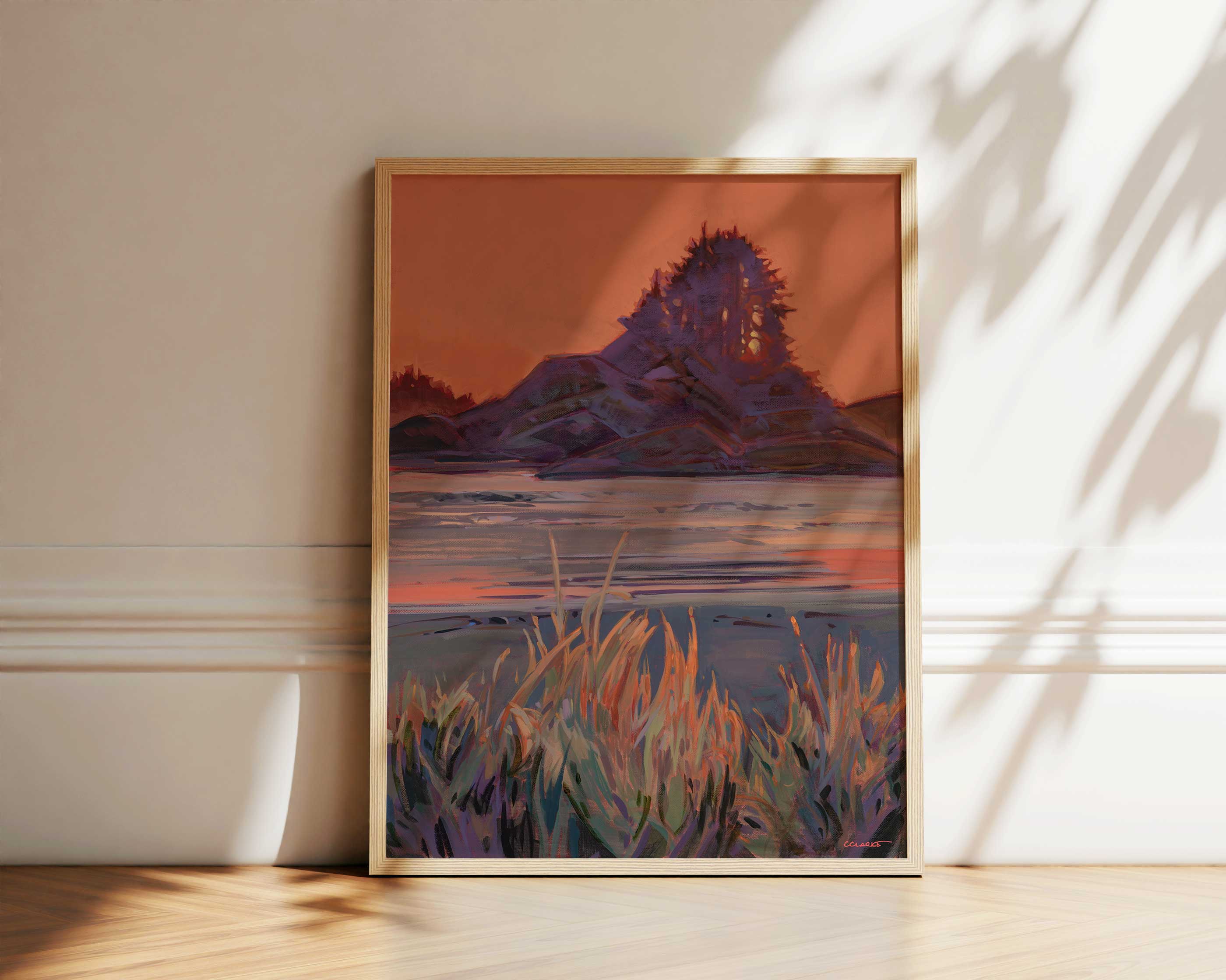 Cox Bay Evening Light