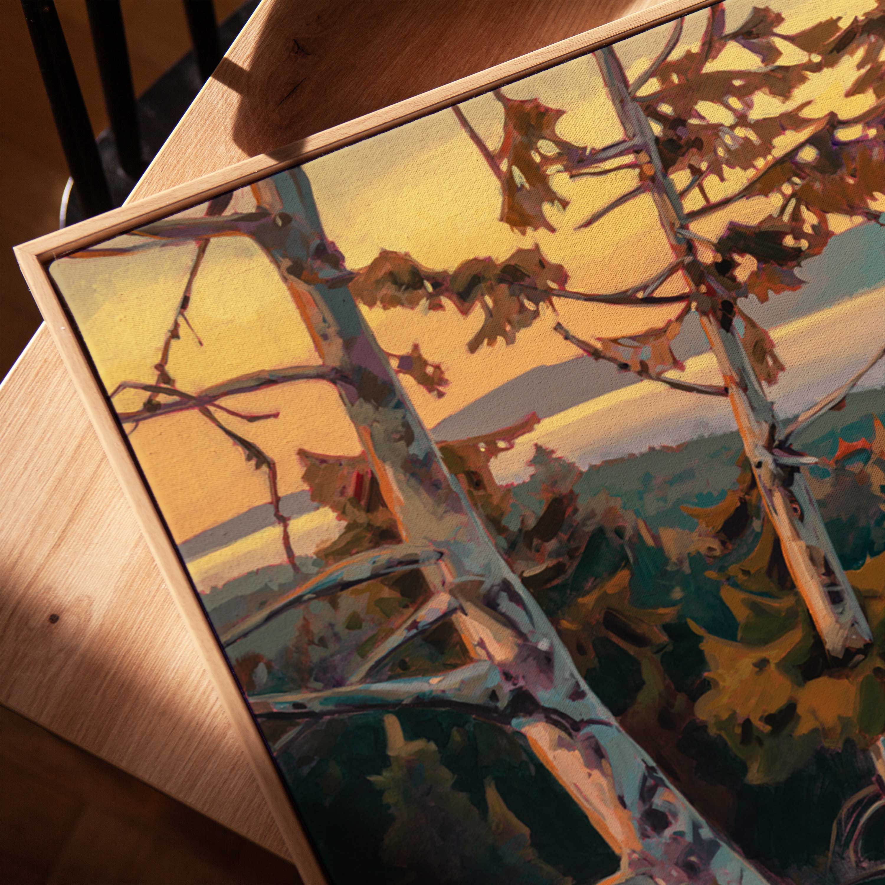 Light Between Seasons