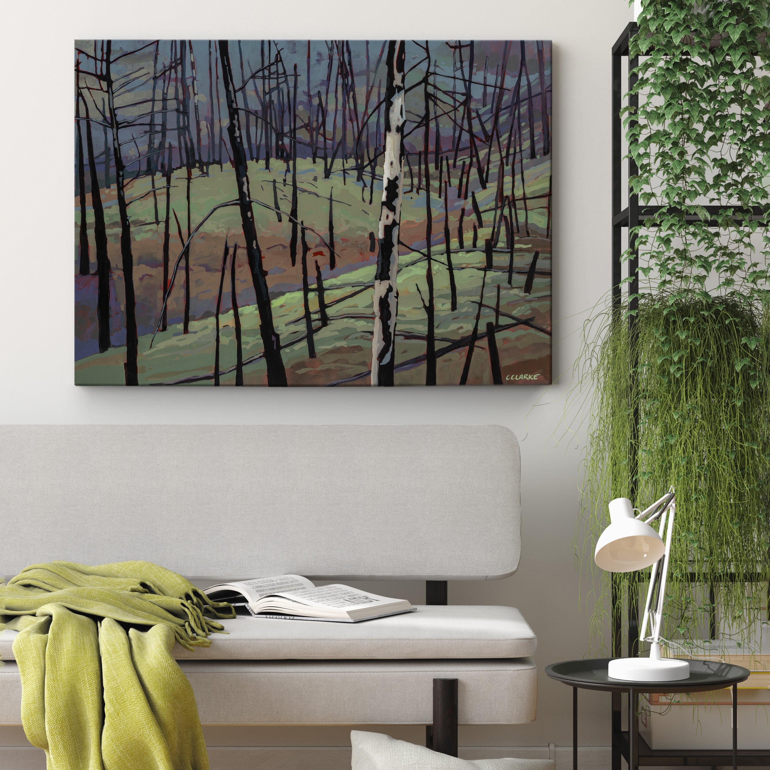 Myra Bellevue Transformation