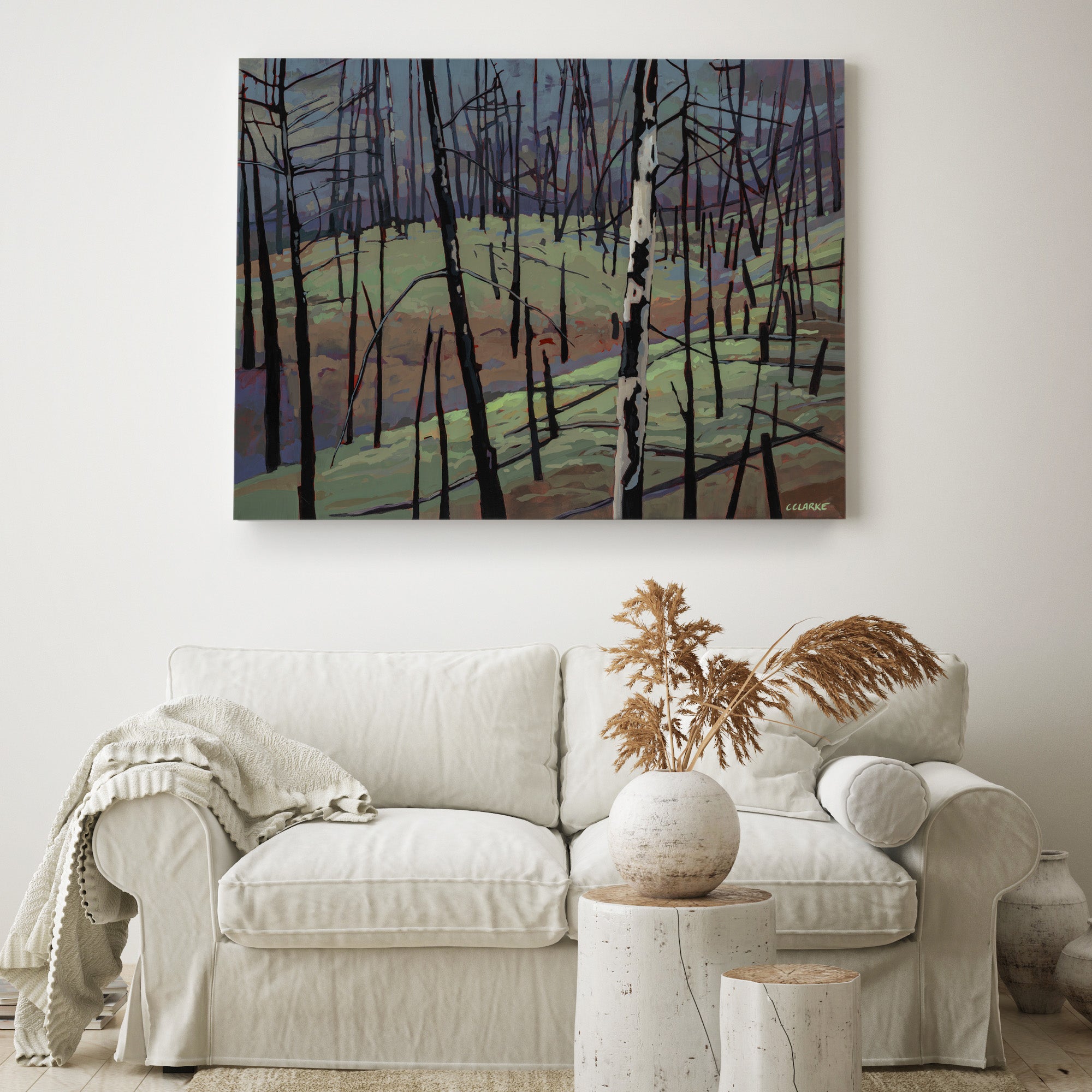 Myra Bellevue Transformation