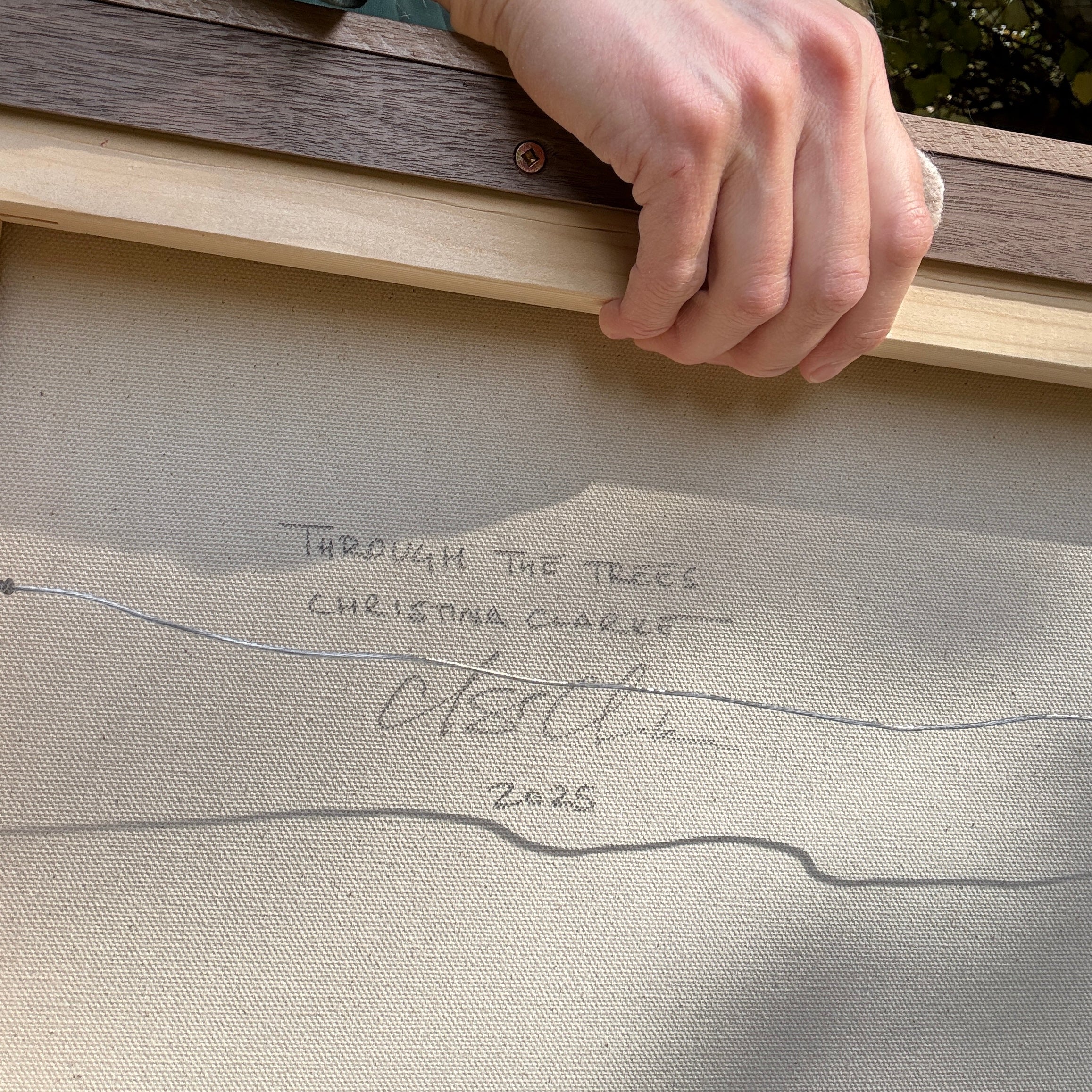 Through the Trees | 16 in x 20 in | Walnut