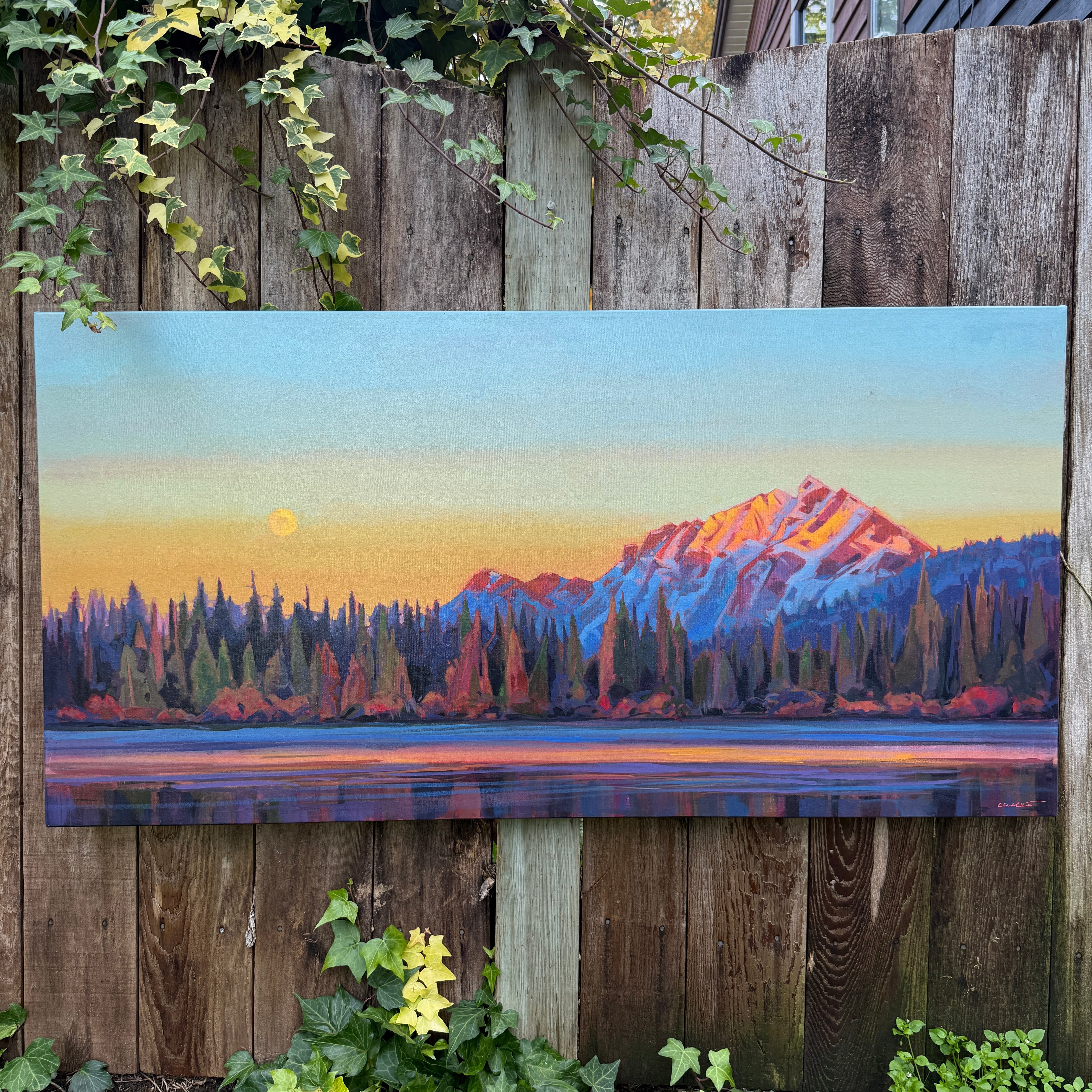 Light Between Seasons