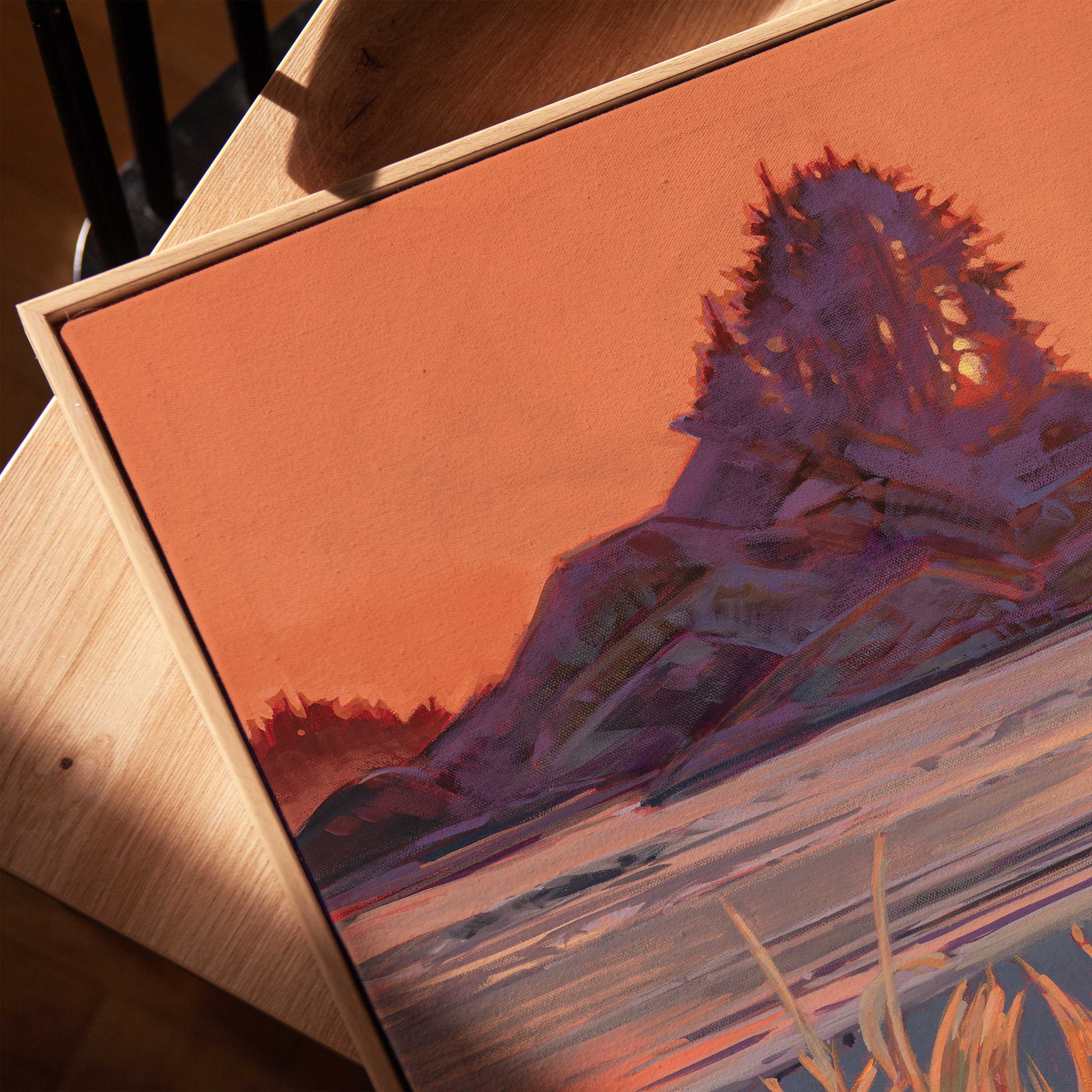 Cox Bay Evening Light