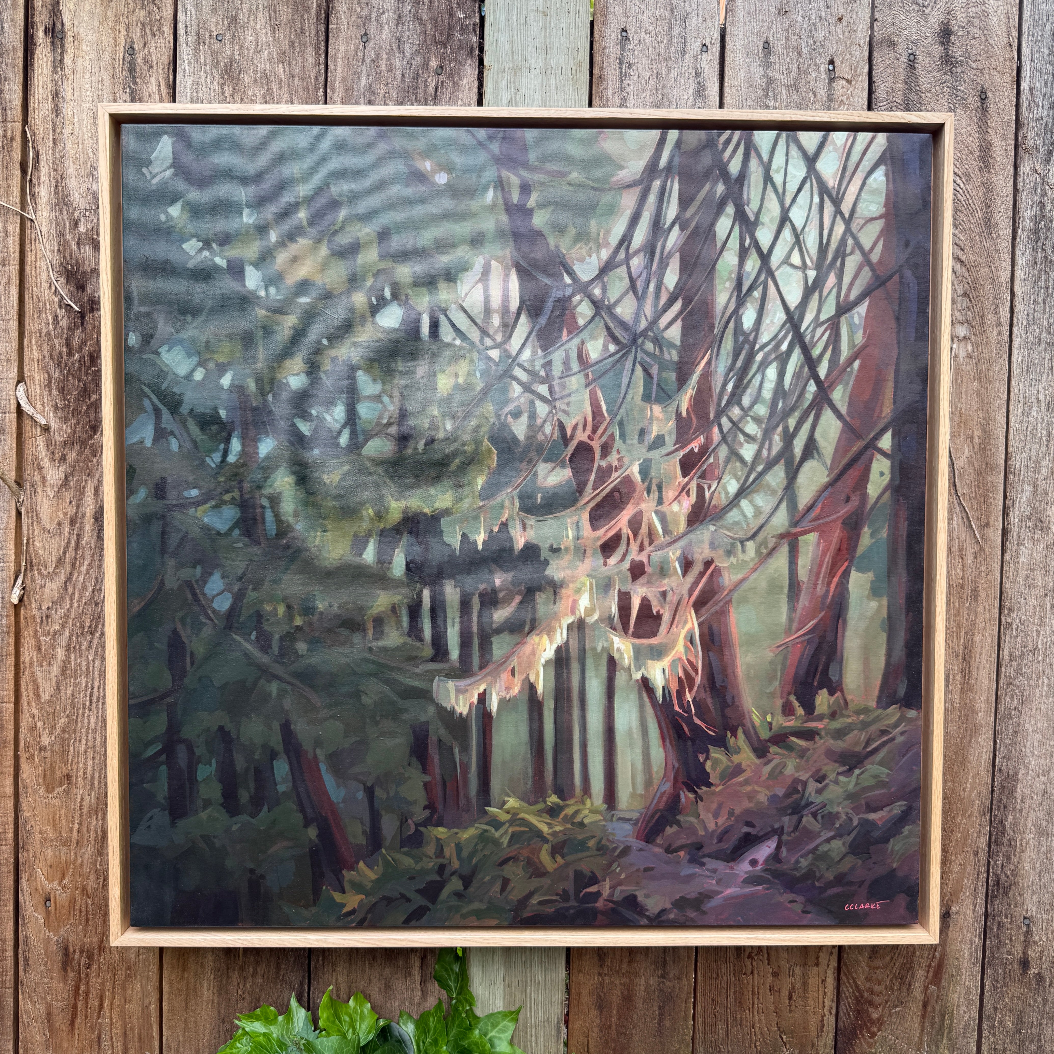 To Summit Trail | 30 in x 30 in | White Oak